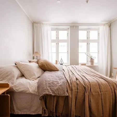 公寓 Cozy In 奥斯陆